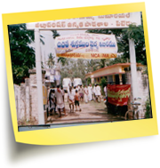 2006